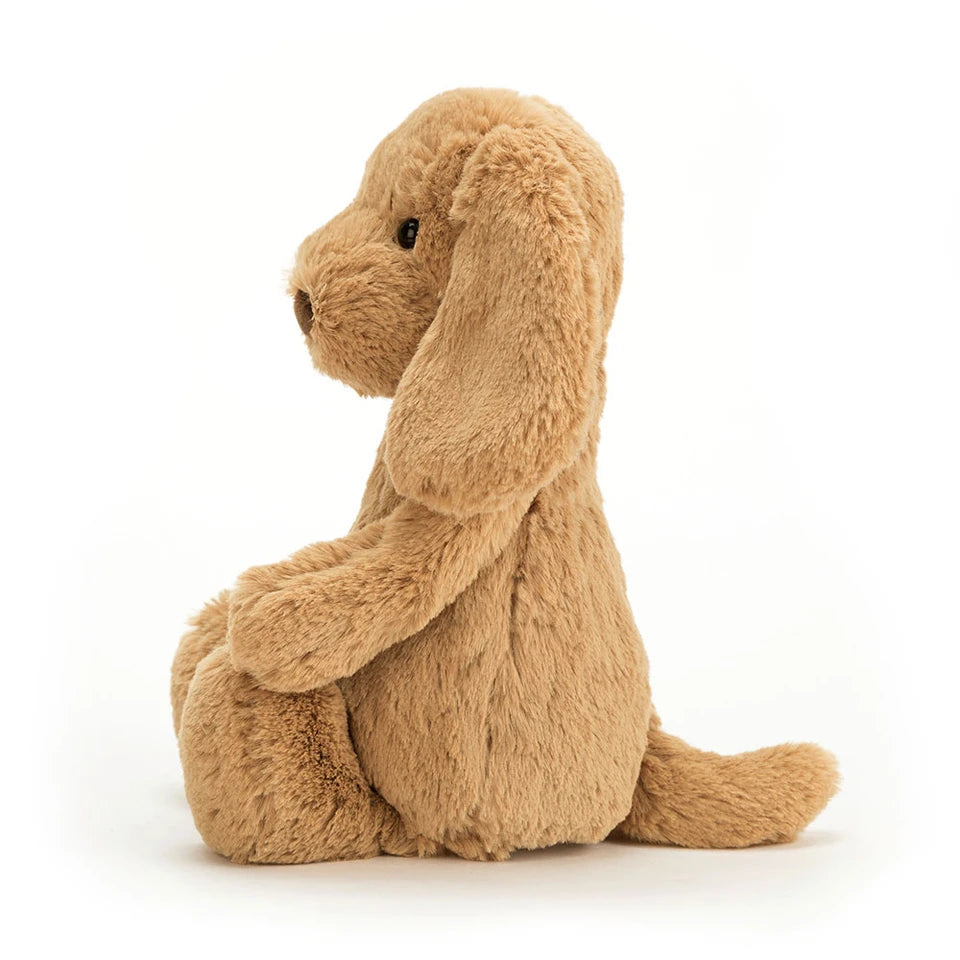 Jellycat 害羞小狗 | Bashful Toffee Puppy 31cm