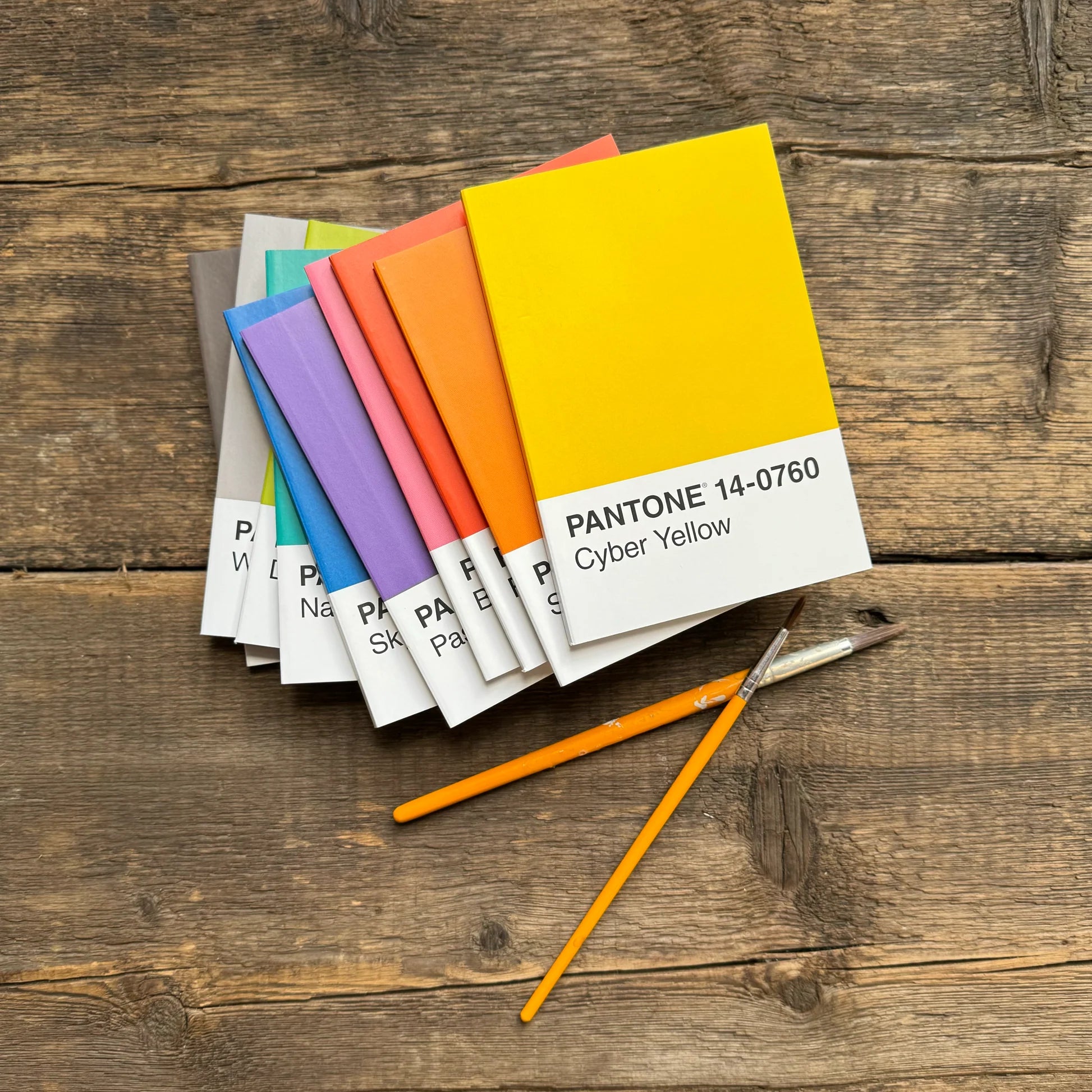 Pantone 筆記簿套裝 | Mini Notebook Set