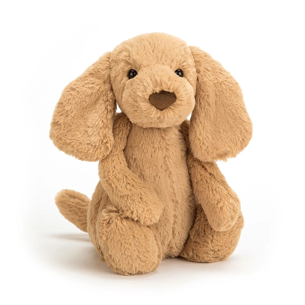 Jellycat 害羞小狗 | Bashful Toffee Puppy 31cm