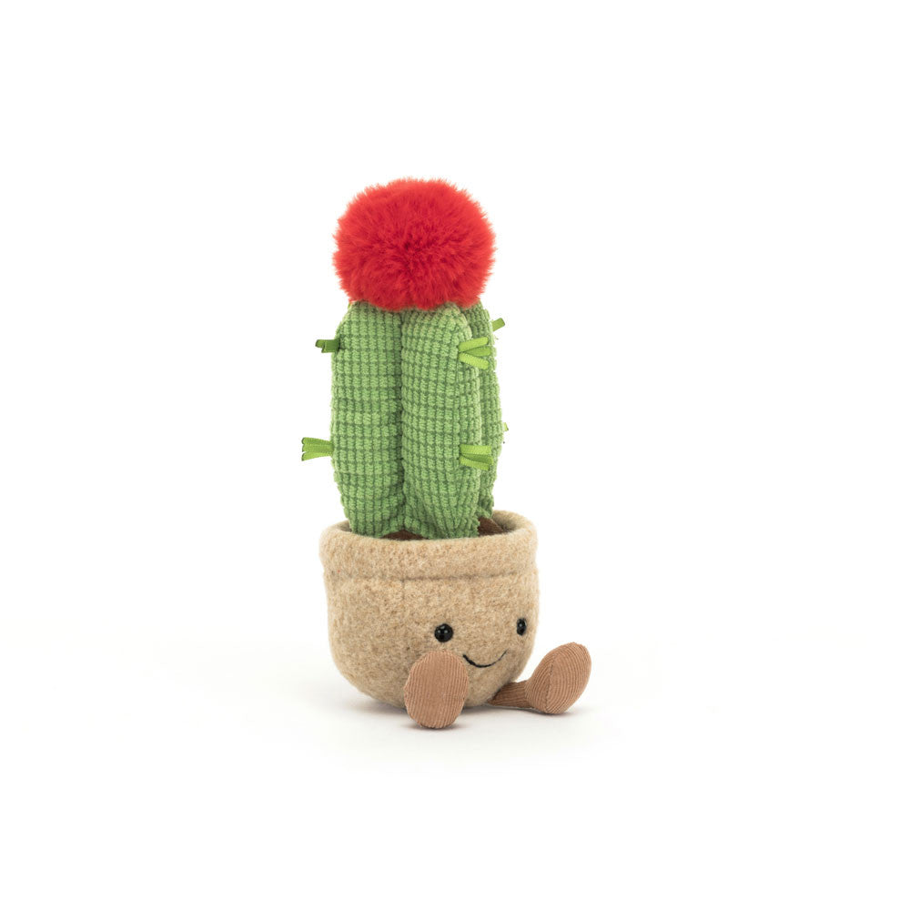 Jellycat 趣味月亮仙人掌| Amuseables Moon Cactus 21cm