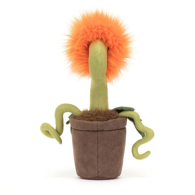 Jellycat Fun Piranha Potted Plant | Carniflore Tammie 27cm