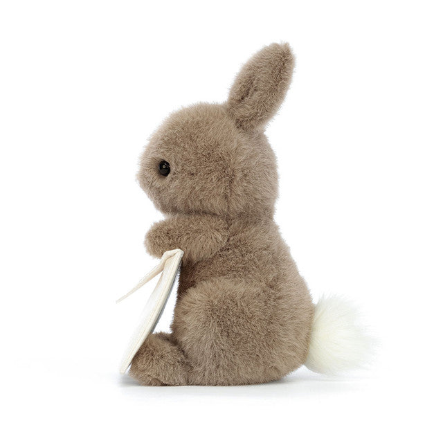 Jellycat 心意卡兔子 | Messenger Bunny 19cm