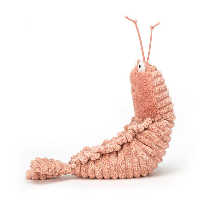 Jellycat 可愛小蝦 Sheldon Shrimp 17cm